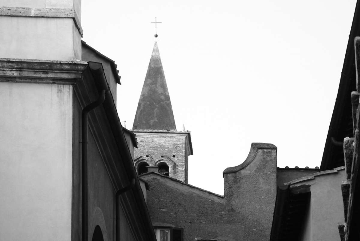 Bd_3_477.jpg